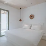 Levanda House Antiparos - Private Pool Vila *